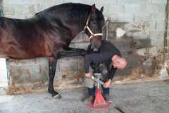 15.-Valentin-Castillo-Moore-herrando